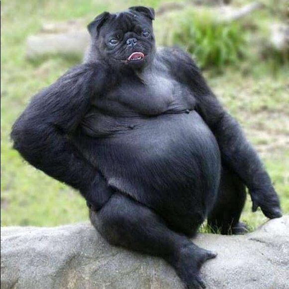 Meet your Posher, Mark - Picture 1 of 1